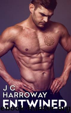 Entwined (The Recovery Series Book 2) by JC Harroway