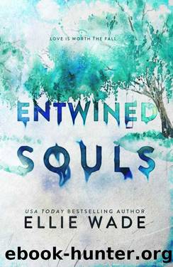 Entwined Souls (The Beautiful Souls Collection Book 6) by Ellie Wade