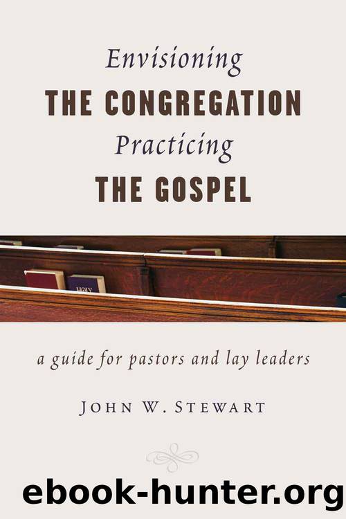 Envisioning the Congregation, Practicing the Gospel by Stewart John W.;