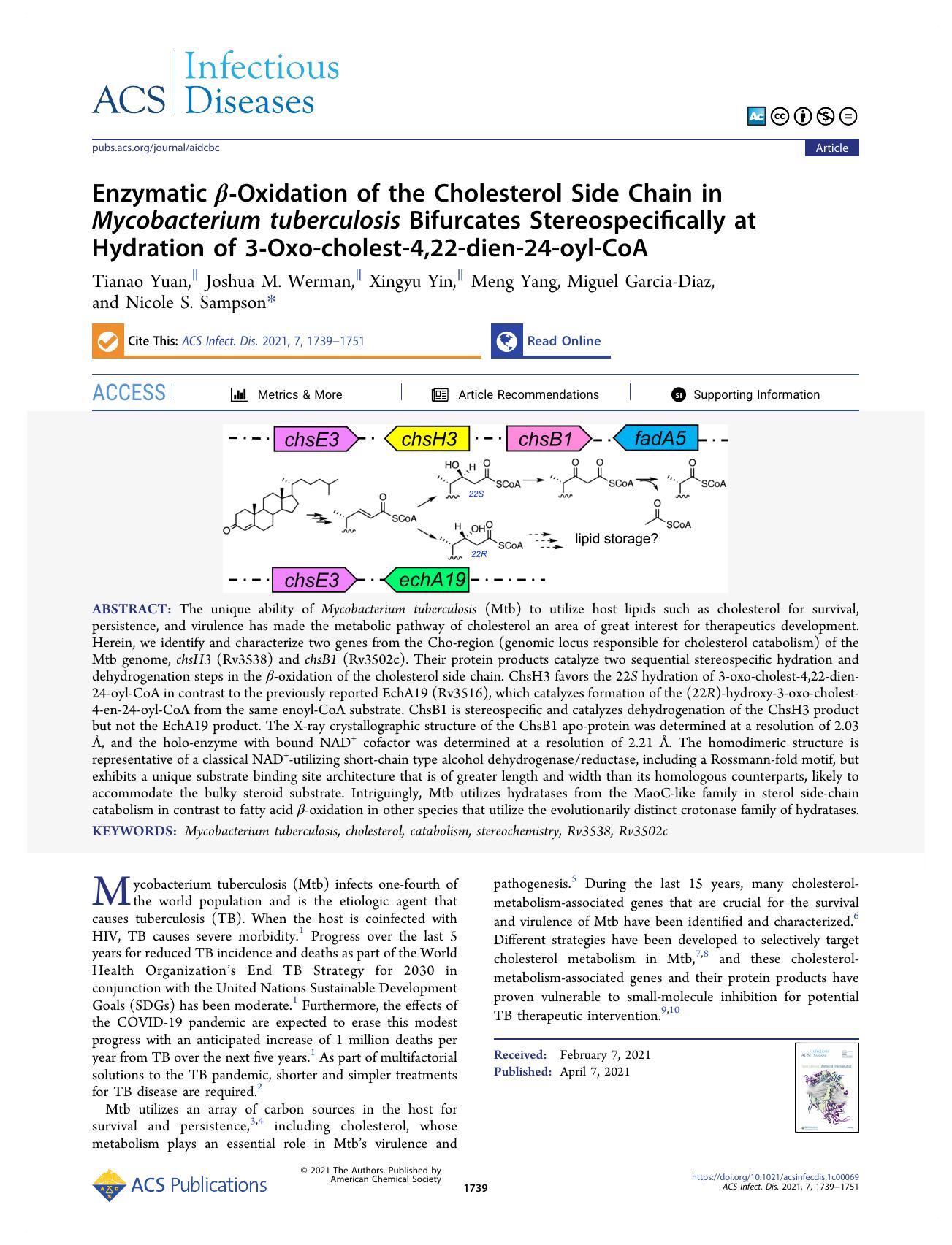 Enzymatic Î²-Oxidation of the Cholesterol Side Chain in Mycobacterium tuberculosis Bifurcates Stereospecifically at Hydration of 3-Oxo-cholest-4,22-dien-24-oyl-CoA by Tianao Yuan Joshua M. Werman Xingyu Yin Meng Yang Miguel Garcia-Diaz and Nicole S. Sampson