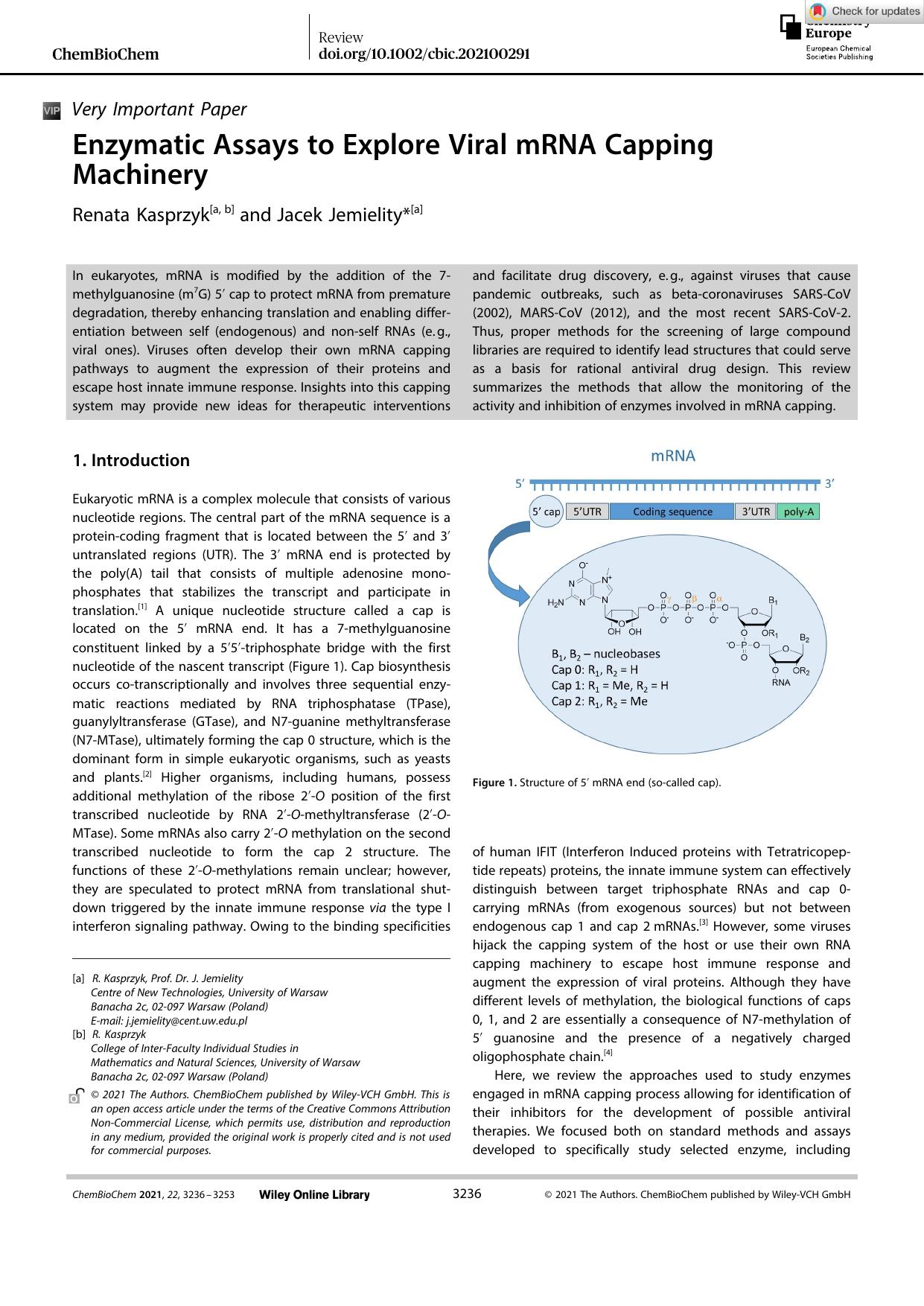 Enzymatic Assays to Explore Viral mRNA Capping Machinery by Unknown