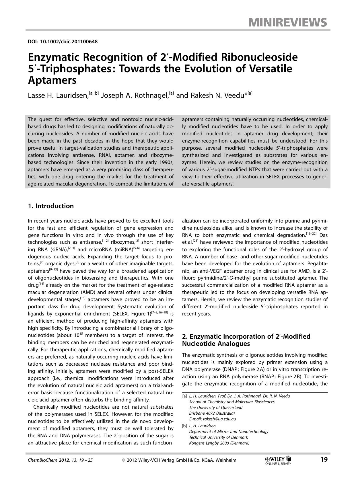 Enzymatic Recognition of 2Modified Ribonucleoside 5Triphosphates: Towards the Evolution of Versatile Aptamers by Unknown
