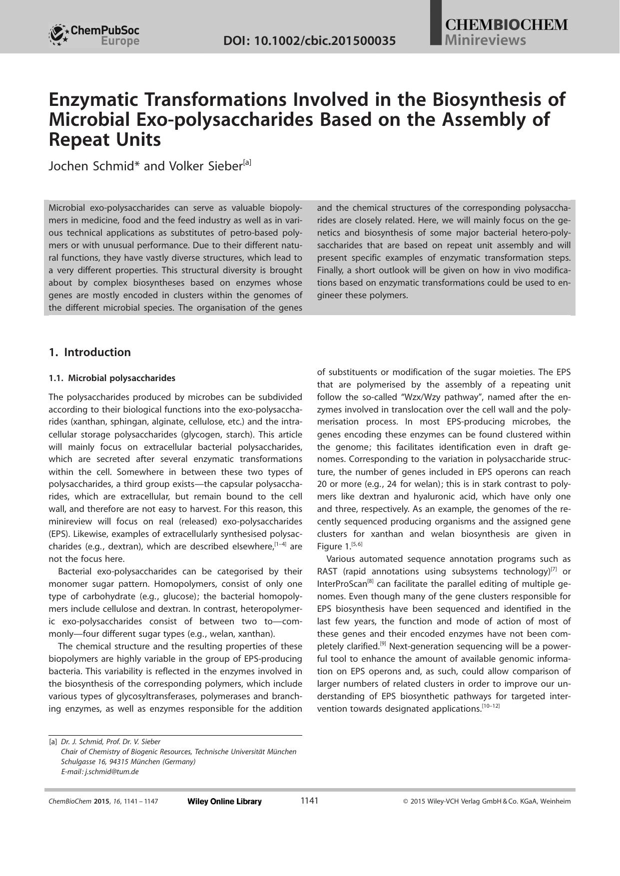 Enzymatic Transformations Involved in the Biosynthesis of Microbial Exopolysaccharides Based on the Assembly of Repeat Units by Unknown