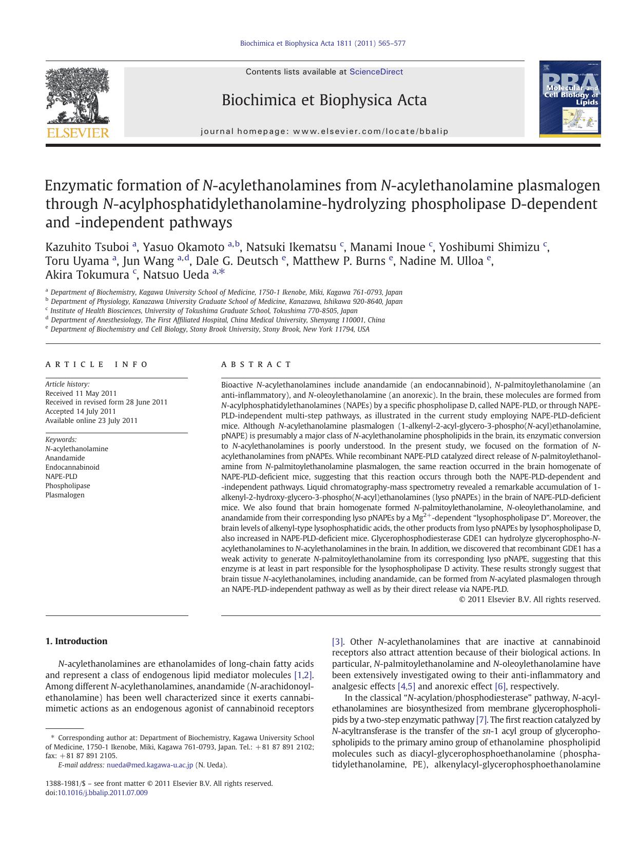 Enzymatic formation of N-acylethanolamines from N-acylethanolamine plasmalogen through N-acylphosphatidylethanolamine-hydrolyzing phospholipase D-dependent and -independent pathways by unknow