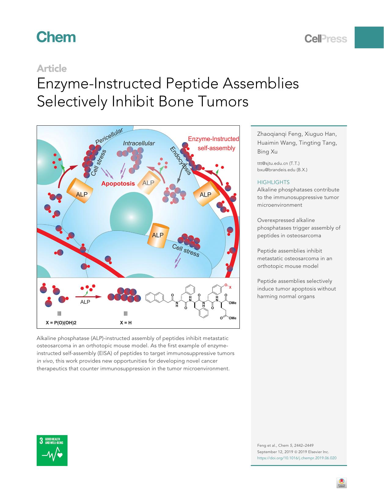 Enzyme-Instructed Peptide Assemblies Selectively Inhibit Bone Tumors by Zhaoqianqi Feng & Xiuguo Han & Huaimin Wang & Tingting Tang & Bing Xu
