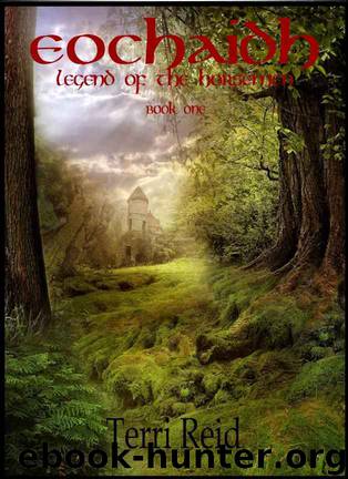 Eochaidh - Legend of the Horsemen (Book One) by Terri Reid