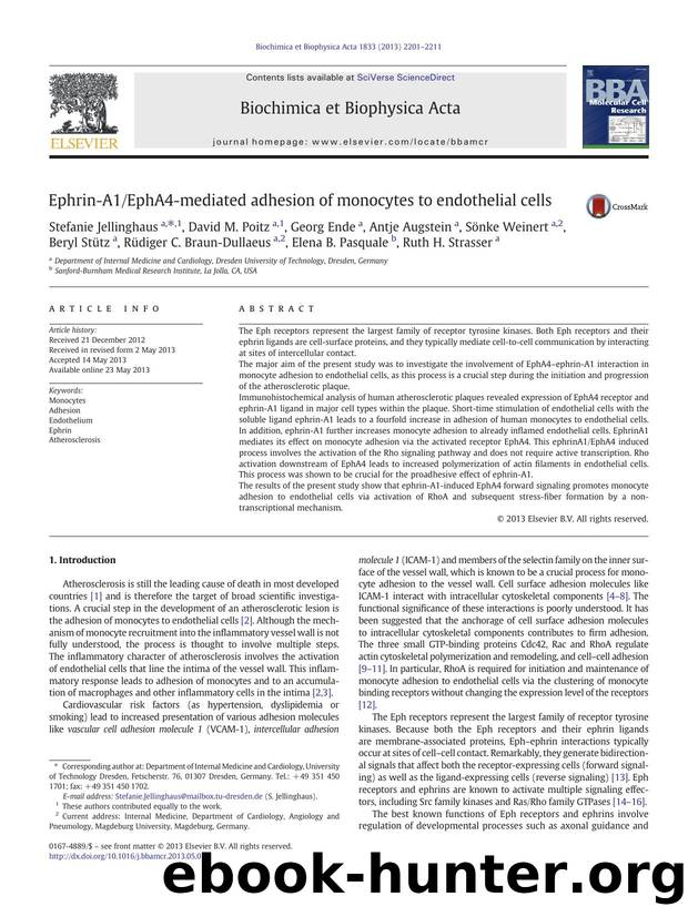 Ephrin-A1EphA4-mediated adhesion of monocytes to endothelial cells by unknow