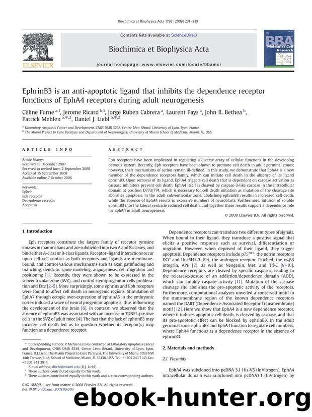 EphrinB3 is an anti-apoptotic ligand that inhibits the dependence receptor functions of EphA4 receptors during adult neurogenesis by unknow