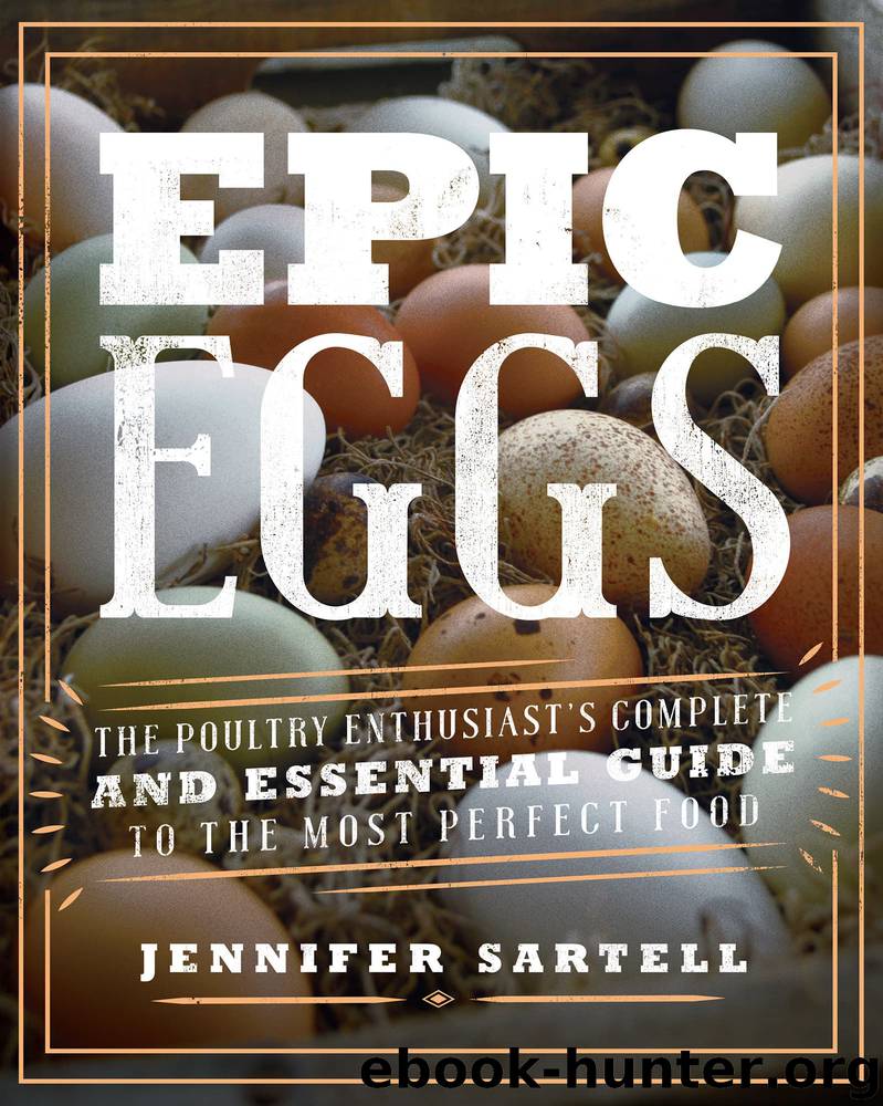 Epic Eggs by Jennifer Sartell