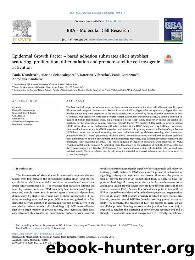 Epidermal Growth Factor â based adhesion substrates elicit myoblast scattering, proliferation, differentiation and promote satellite cell myogenic activation by Paola D'Andrea & Marina Sciancalepore & Katerina Veltruska & Paola Lorenzon & Antonella Bandiera