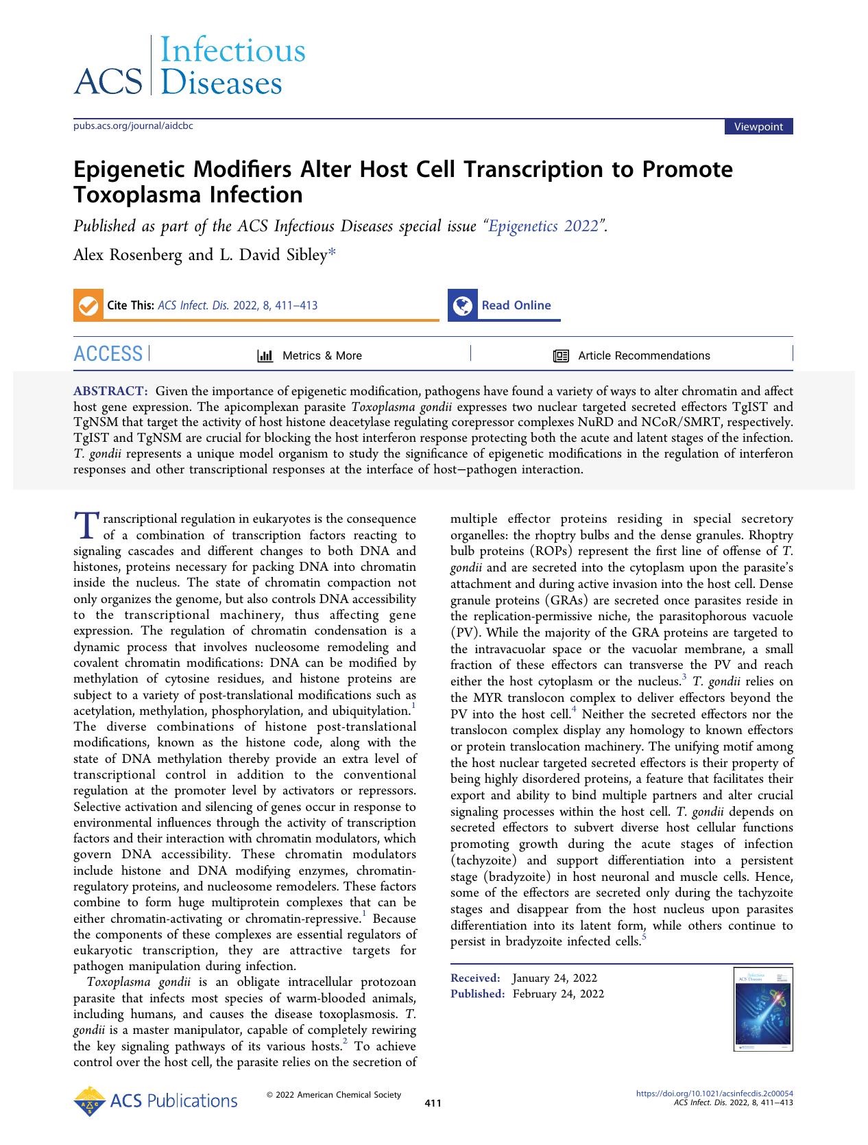 Epigenetic Modifiers Alter Host Cell Transcription to Promote Toxoplasma Infection by Alex Rosenberg and L. David Sibley