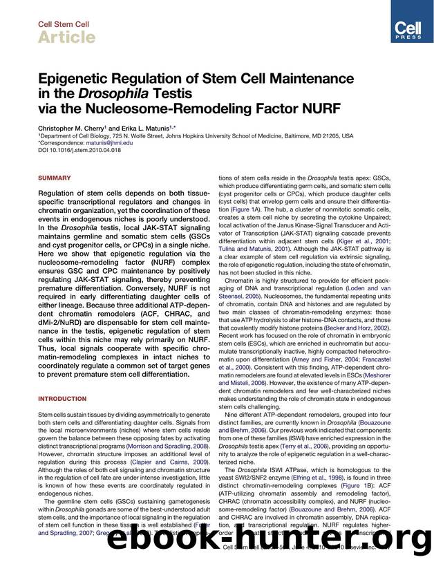 Epigenetic Regulation of Stem Cell Maintenance in the Drosophila Testis via the Nucleosome-Remodeling Factor NURF by Christopher M. Cherry & Erika L. Matunis