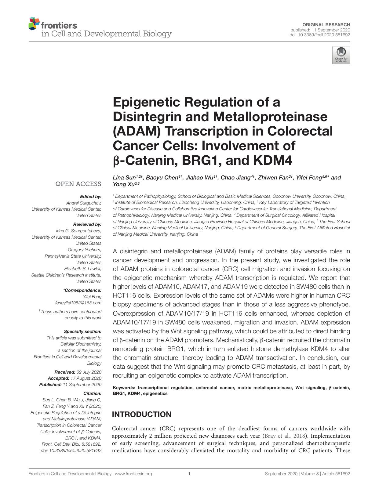 Epigenetic Regulation of a Disintegrin and Metalloproteinase (ADAM) Transcription in Colorectal Cancer Cells: Involvement of Î²-Catenin, BRG1, and KDM4 by Yifei Feng