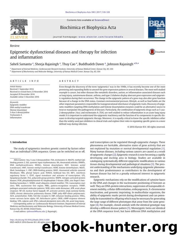 Epigenetic dysfunctional diseases and therapy for infection and inflammation by Saheli Samanta & Sheeja Rajasingh & Thuy Cao & Buddhadeb Dawn & Johnson Rajasingh