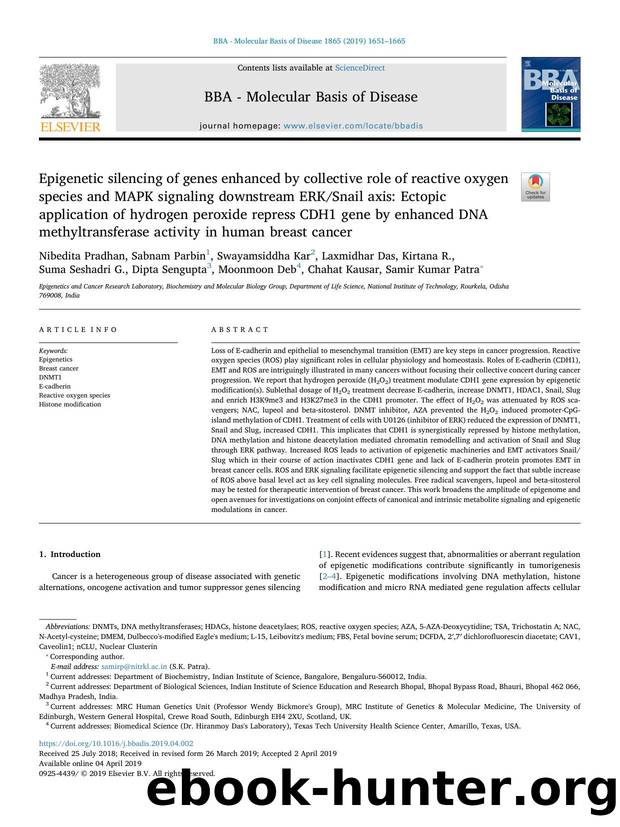 Epigenetic silencing of genes enhanced by collective role of reactive oxygen species and MAPK signaling downstream ERKSnail axis_ Ectopic application of hydrogen peroxide repress C by unknow