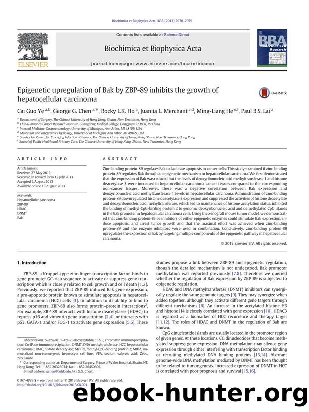 Epigenetic upregulation of Bak by ZBP-89 inhibits the growth of hepatocellular carcinoma by Cai Guo Ye & George G. Chen & Rocky L.K. Ho & Juanita L. Merchant & Ming-Liang He & Paul B.S. Lai