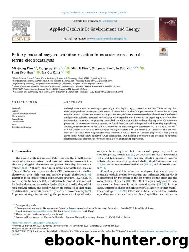Epitaxy-boosted oxygen evolution reaction in mesostructured cobalt ferrite electrocatalysts by Minjeong Kim & Dongyup Shin & Min Ji Kim & Sangwok Bae & In Soo Kim & Sang Soo Han & Jin Gu Kang