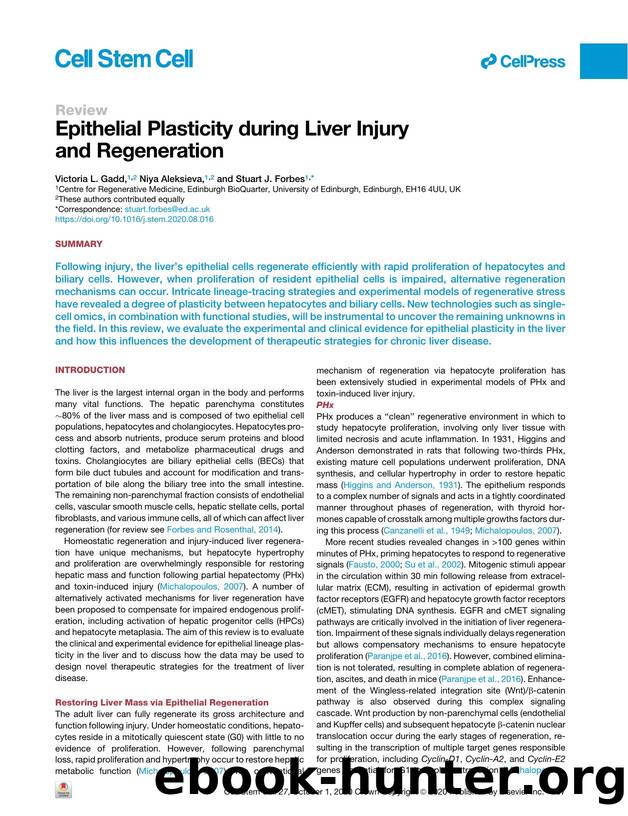Epithelial Plasticity during Liver Injury and Regeneration by Victoria L. Gadd & Niya Aleksieva & Stuart J. Forbes