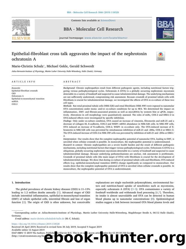 Epithelial-fibroblast cross talk aggravates the impact of the nephrotoxin ochratoxin A by Marie-Christin Schulz & Michael Gekle & Gerald Schwerdt