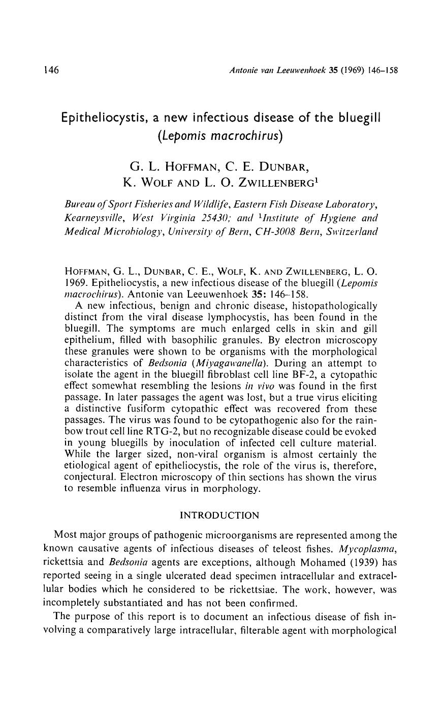 Epitheliocystis, a new infectious disease of the bluegill ( <Emphasis Type="Italic">Lepomis macrochirus <Emphasis>) by Unknown