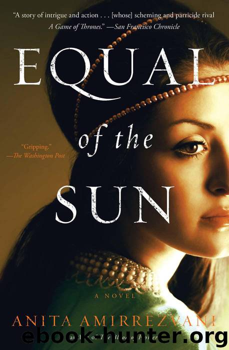 Equal of the Sun by Anita Amirrezvani
