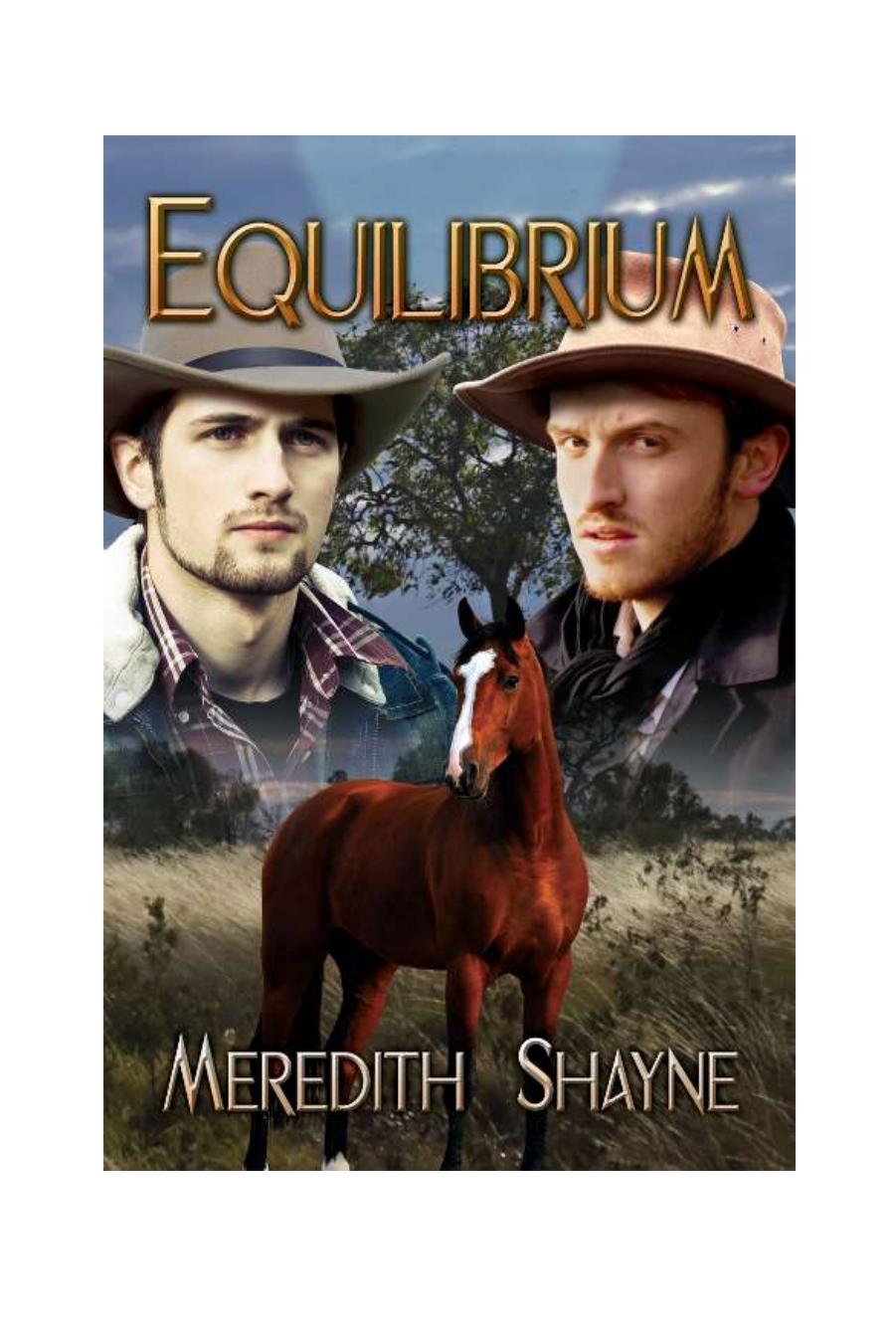 Equilibrium by Meredith Shayne