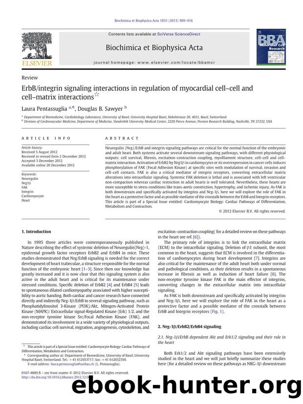 ErbBintegrin signaling interactions in regulation of myocardial cellâcell and cellâmatrix interactions by Laura Pentassuglia & Douglas B. Sawyer