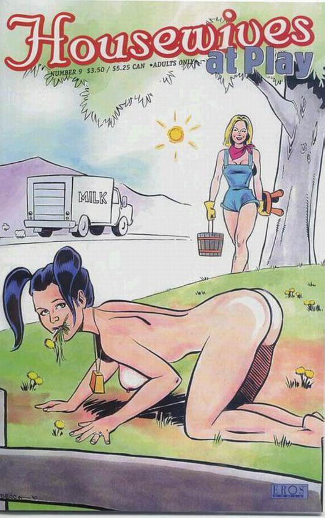 Erotic Comic - Rebecca - Housewives at play by Volume 09