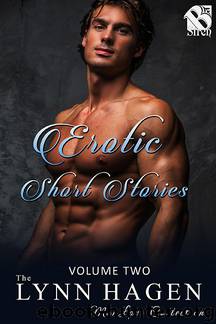 Erotic Short Stories 2 by Lynn Hagen