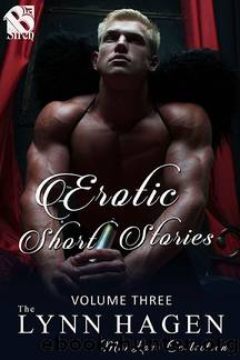 Erotic Short Stories 3 by Lynn Hagen