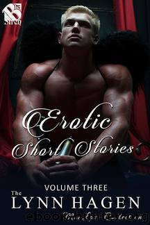 Erotic Short Stories Vol 3 by Lynn Hagen