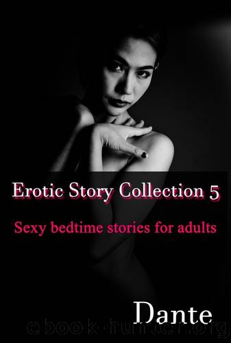 Erotic Story Collection 5: Sexy bedtime stories for adults by Dante x
