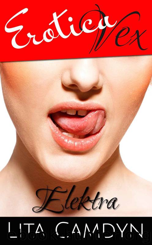 Erotica Vex: Elektra: A Tale of Revenge by Lita Camdyn