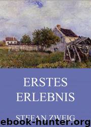 Erstes Erlebnis: Vier Geschichten aus Kinderland by Stefan Zweig