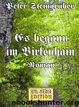 Es begann im Birkenhain (Heimatroman) (German Edition) by Steingruber Peter