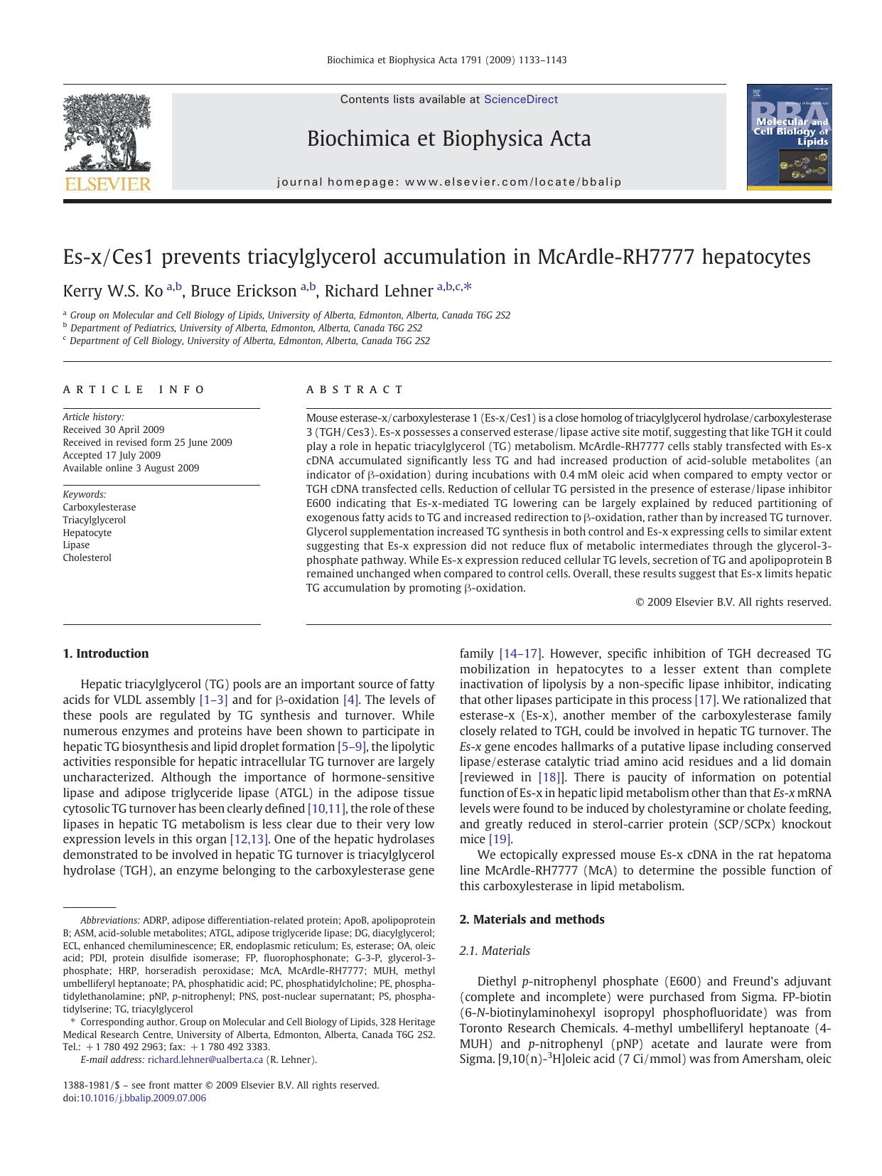 Es-xCes1 prevents triacylglycerol accumulation in McArdle-RH7777 hepatocytes by Kerry W.S. Ko; Bruce Erickson; Richard Lehner