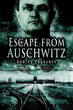 Escape From Auschwitz by Andrey Pogozhev