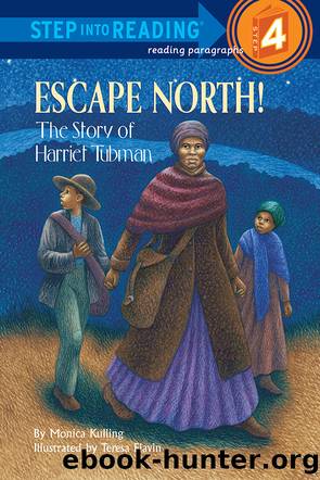Escape North! the Story of Harriet Tubman by Monica Kulling