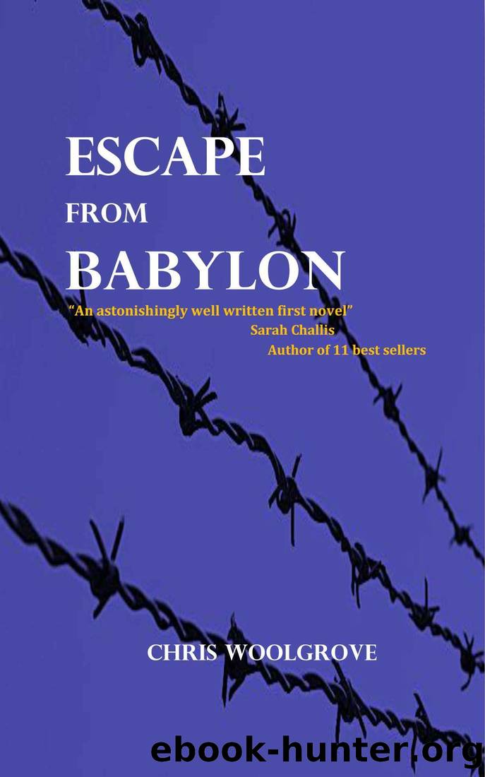 Escape from Babylon by Chris Woolgrove