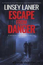 Escape from Danger by Linsey Lanier
