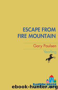 Escape from Fire Mountain by Gary Paulsen