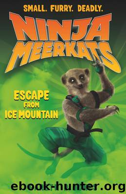Escape from Ice Mountain by Gareth P. Jones
