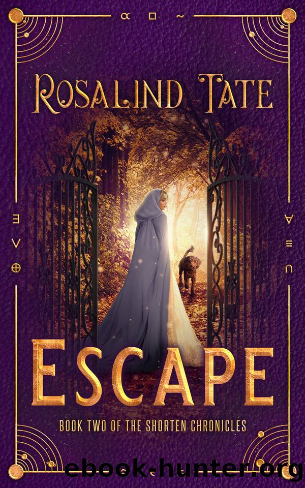 Escape: A Romantic Time Travel Mystery (The Shorten Chronicles Book 2) by Tate Rosalind