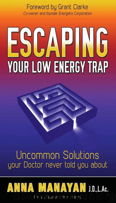 Escaping Your Low Energy Trap by Anna Manayan