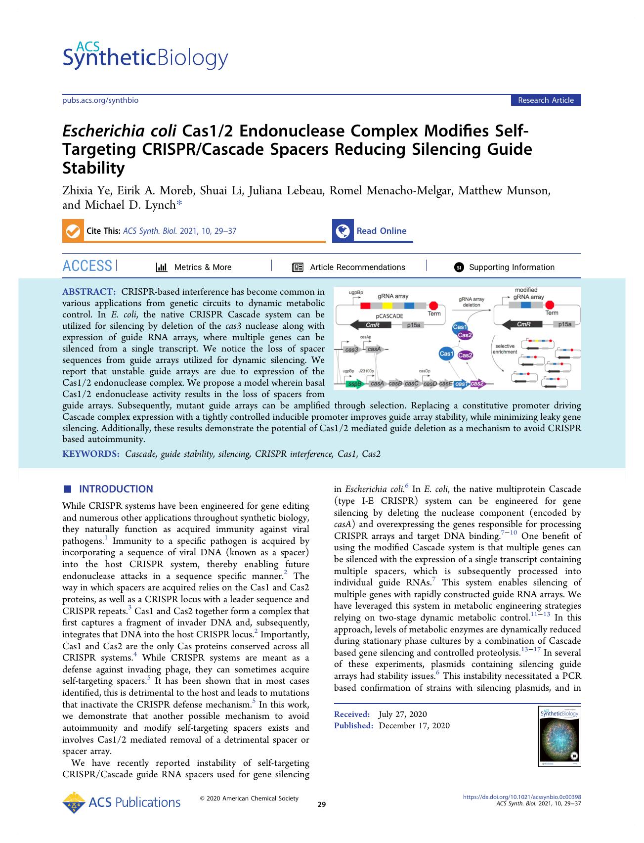 Escherichia coli Cas12 Endonuclease Complex Modifies Self-Targeting CRISPRCascade Spacers Reducing Silencing Guide Stability by unknow