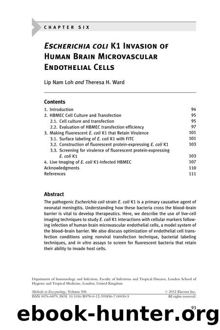 Escherichia coli K1 Invasion of Human Brain Microvascular Endothelial Cells by Lip Nam Loh & Theresa H. Ward