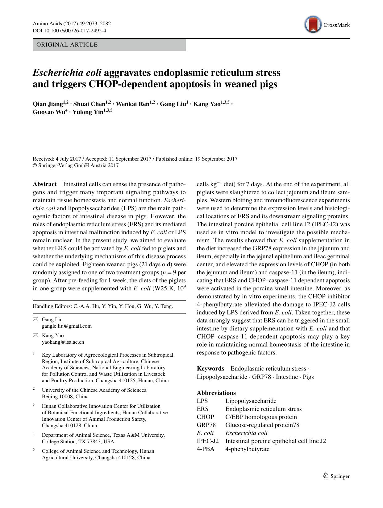 Escherichia coli aggravates endoplasmic reticulum stress and triggers CHOP-dependent apoptosis in weaned pigs by Qian Jiang & Shuai Chen & Wenkai Ren & Gang Liu & Kang Yao & Guoyao Wu & Yulong Yin