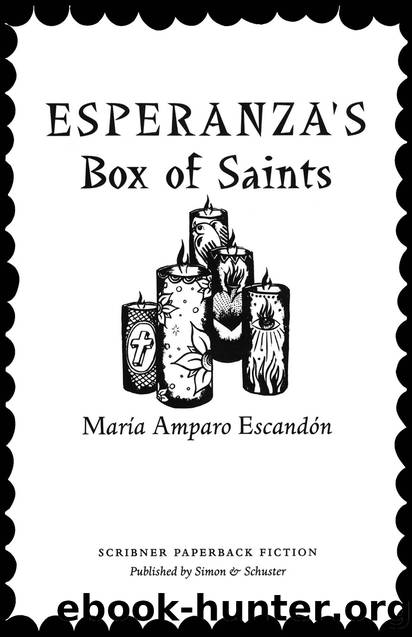 Esperanza's Box of Saints by Maria Amparo Escandon