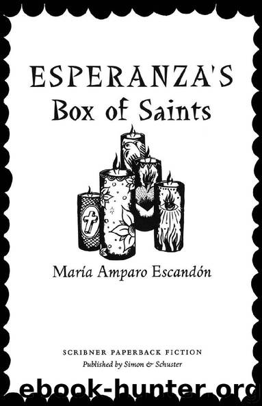 Esperanza’s Box of Saints by María Amparo Escandón