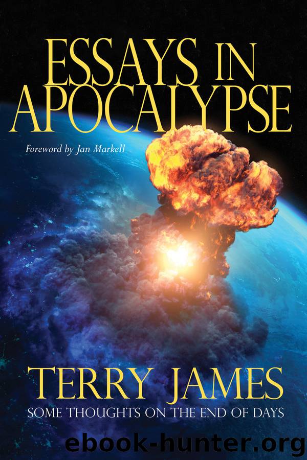 Essays in Apocalypse by Terry James